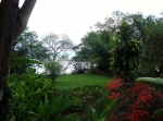 Paysage Orchid's Safari Club