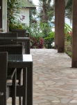 Chambre Orchid's Hotel