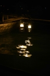 Paysage Orchid's Safari Club